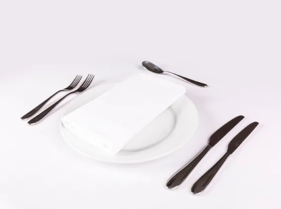Arctic White Napkin