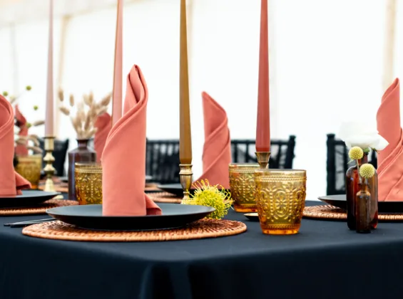 Autumn Orange Napkins