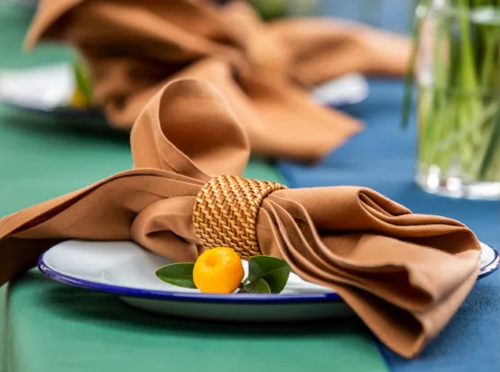 Cinnamon napkin Forest Green table cloth