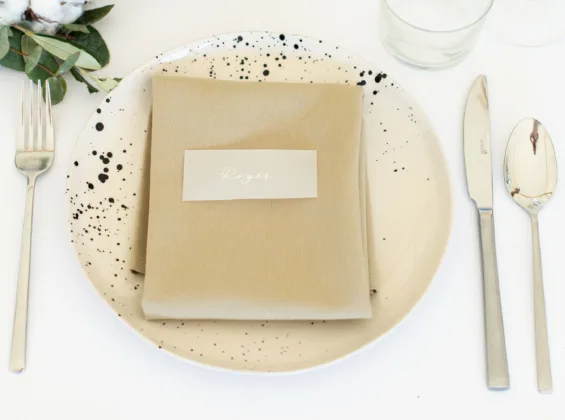 Olive napkin on Arctic White