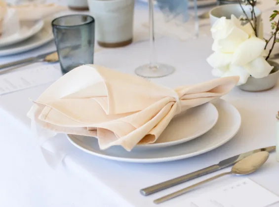Natural Cream napkin on a Arctic White table cloth