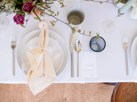 Natural Cream napkin on a Arctic White table cloth