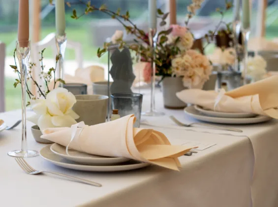 Two Natural Cream napkins on a Arctic White table cloths