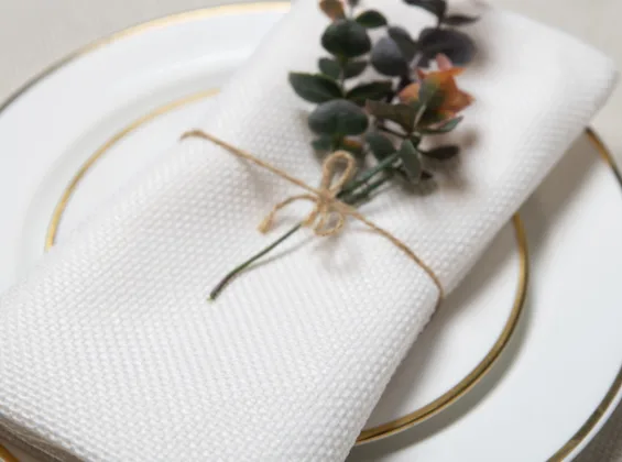 Pearl White Napkins (The Cotswold Collection)