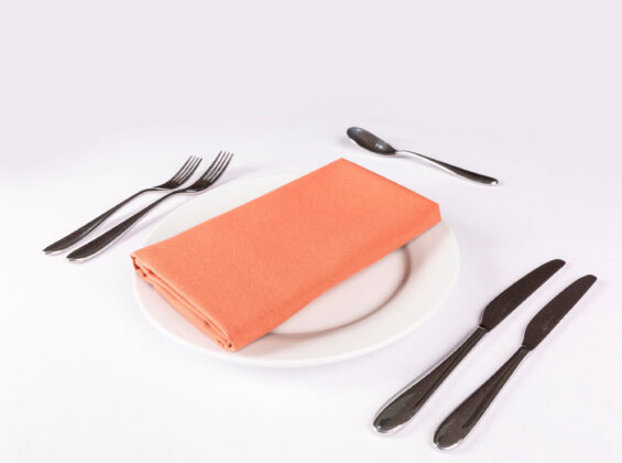 Autumn Orange Napkins