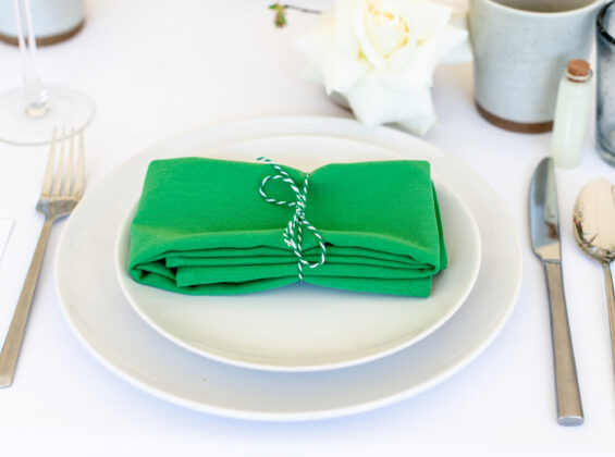 Mint Green napkin on Arctic White table cloth