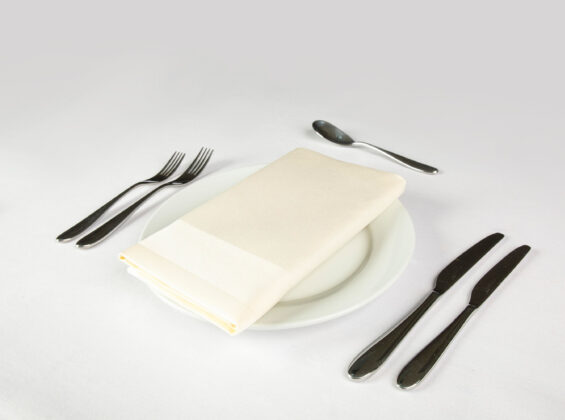 Ivory Satin Band Napkin