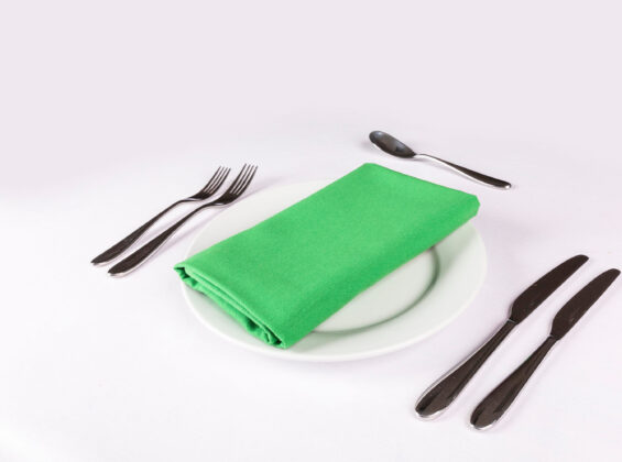 Mint Green Napkin