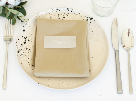 Olive napkin on Arctic White