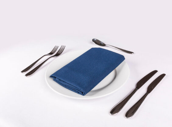 Oxford Cloth Napkins, Bulk