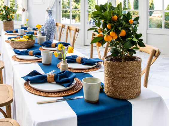 Oxford Blue Napkins and Table Runners