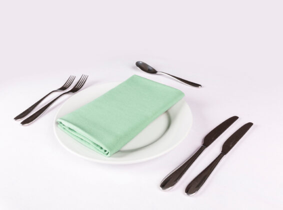 Sage Green Napkin