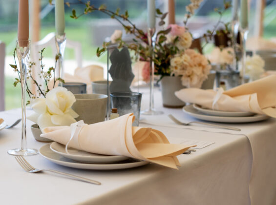 Two Natural Cream napkins on a Arctic White table cloths