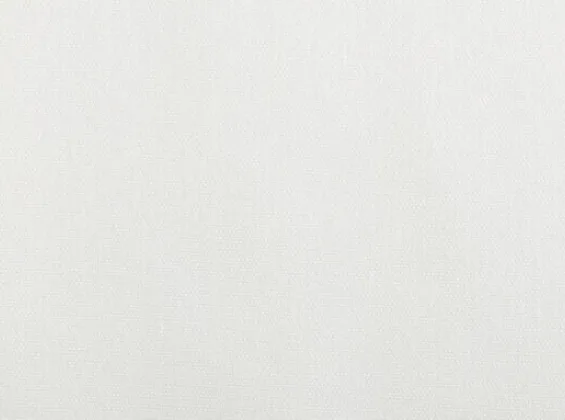 Arctic White