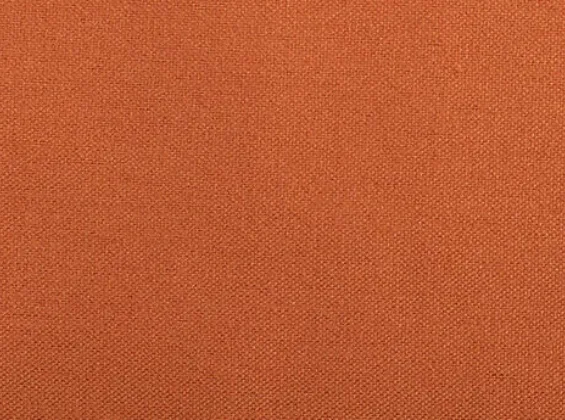 Autumn Orange