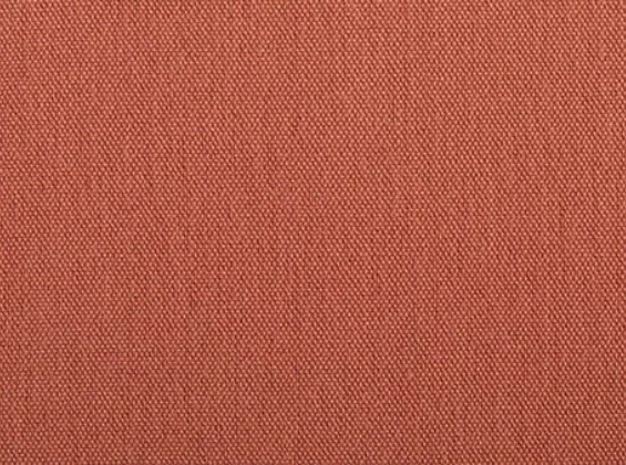 Rose Blush