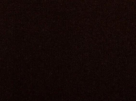 Cocoa