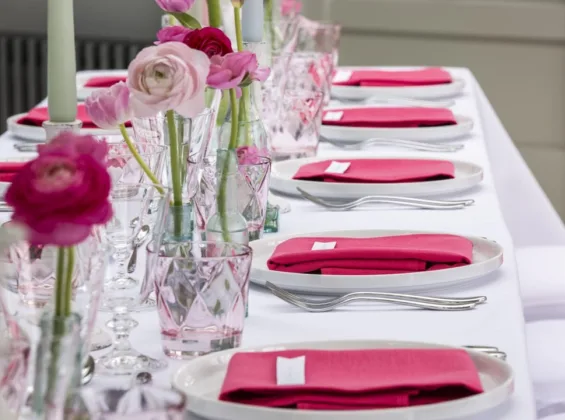 Arctic White with Pink Fuchsia