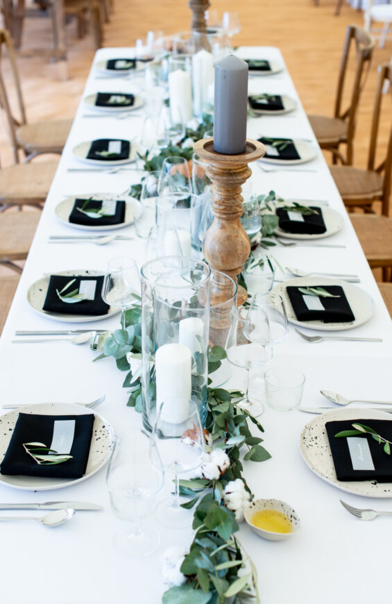 Arctic White with Jet Black