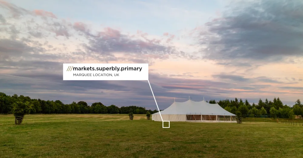 Improved delivery accuracy with what3words