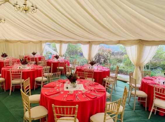 Meet Special Occasion Linen at The Showman's Show