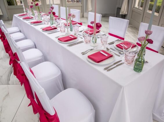 Arctic White with Pink Fuchsia