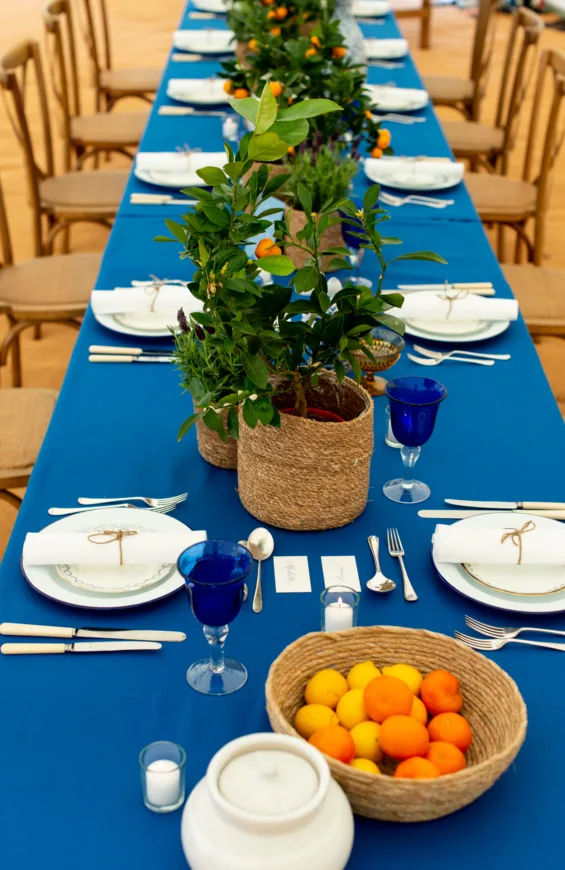 Royal Blue with Arctic White
